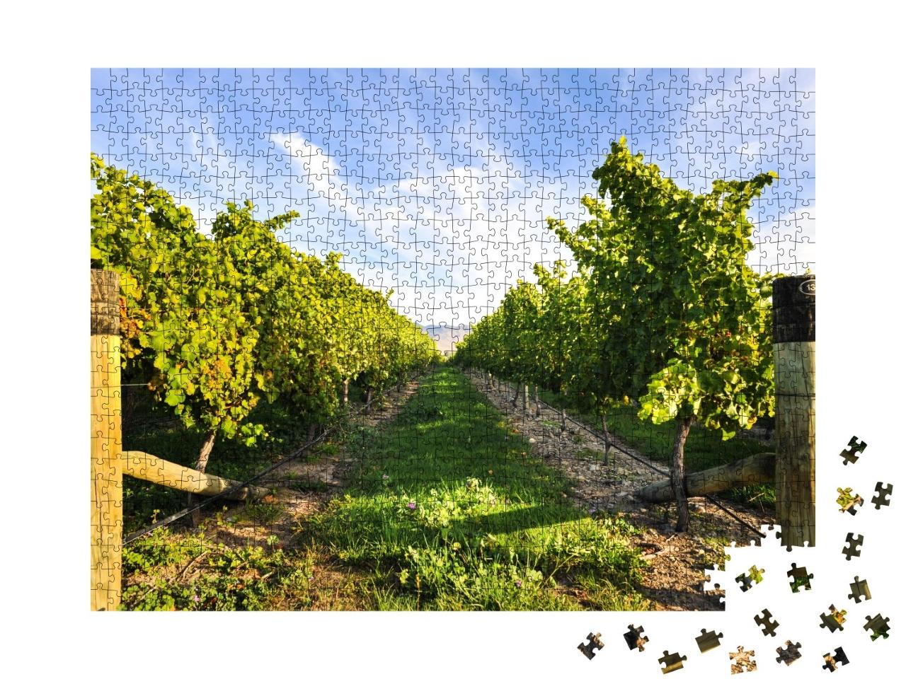 Puzzle de 1000 pièces « Série de vignobles par beau temps »