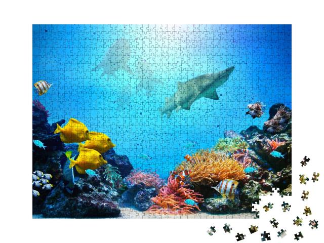 Puzzle de 1000 pièces « Récif corallien avec un groupe de poissons multicolores et des requins »