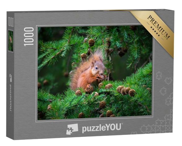 Puzzle de 1000 pièces « Le petit écureuil dans l'arbre »