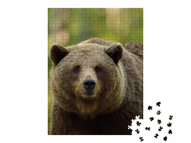 Puzzle de 1000 pièces « L'ours brun dans la forêt »