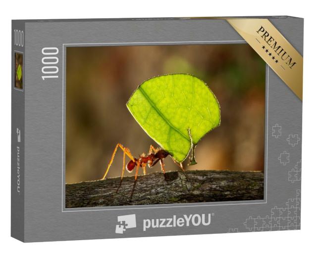 Puzzle de 1000 pièces « Fourmi coupeuse de feuilles portant une feuille à son nid »