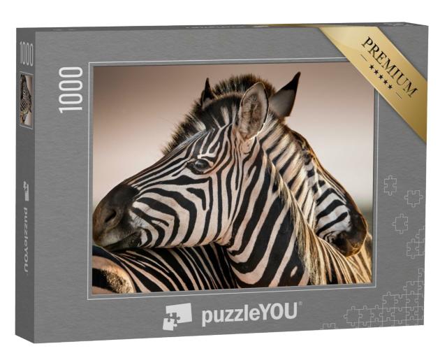 Puzzle de 1000 pièces « Troupeau de zèbres familier »