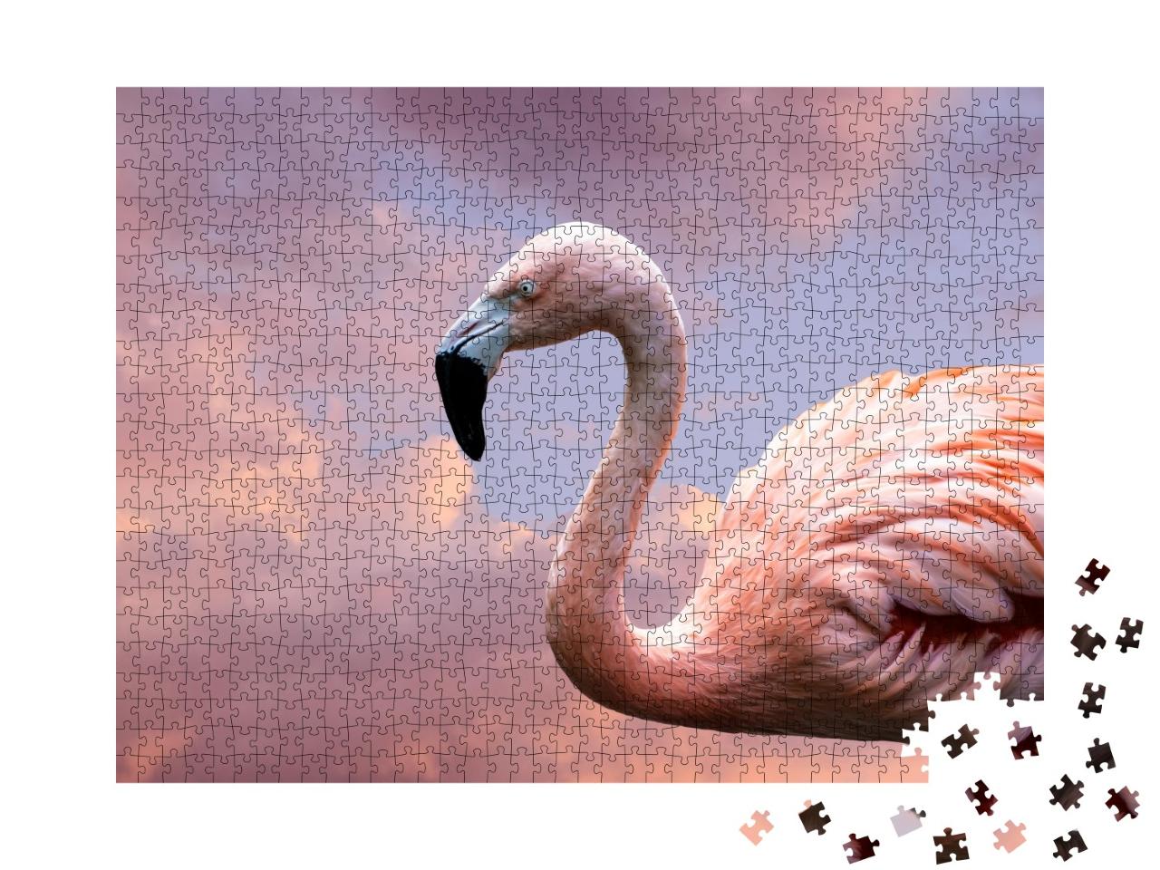 Puzzle de 1000 pièces « Flamant rose américain, également connu sous le nom de flamant rose des Caraïbes »