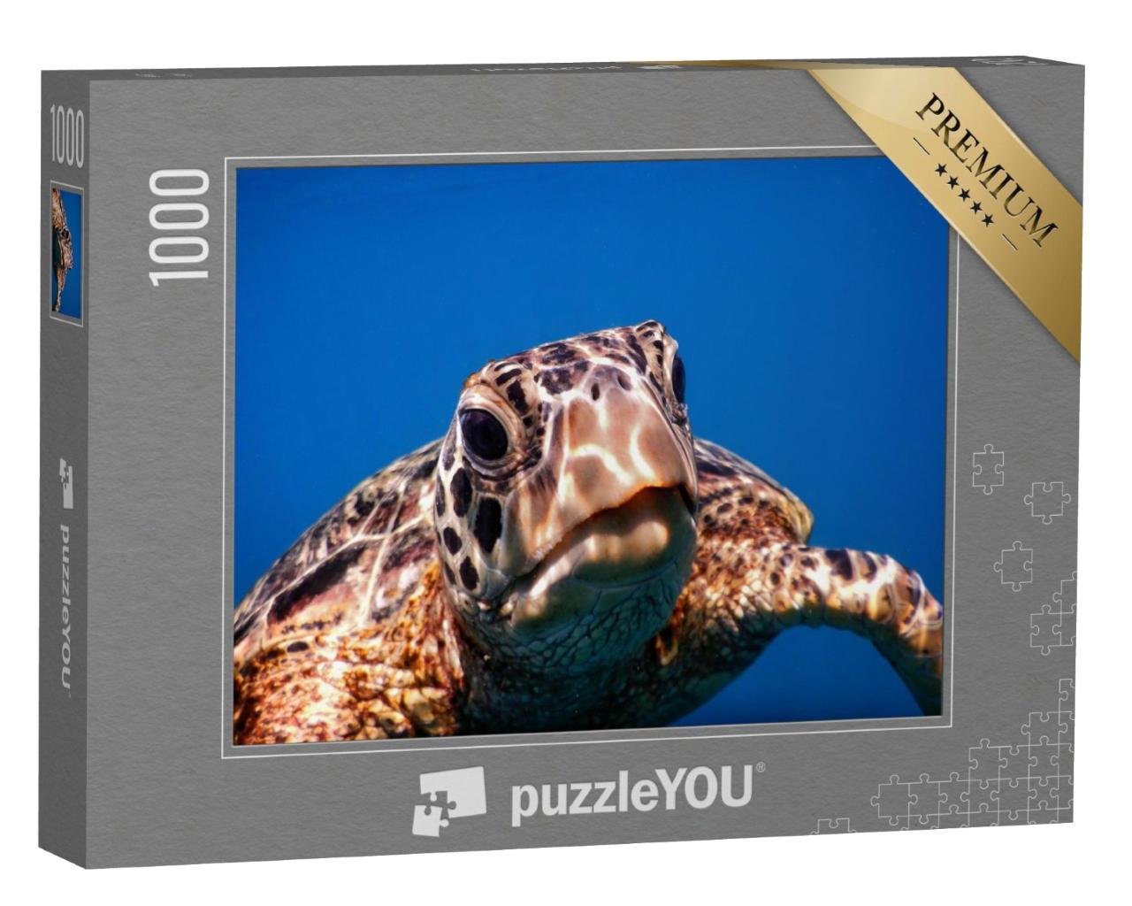 Puzzle de 1000 pièces « Une tortue de mer verte à Savaii »