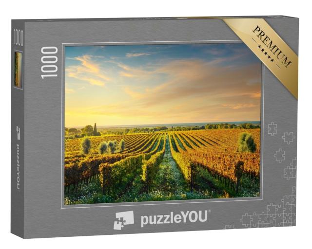 Puzzle de 1000 pièces « Vignoble de Bolgheri au coucher du soleil, Maremma, Toscane »