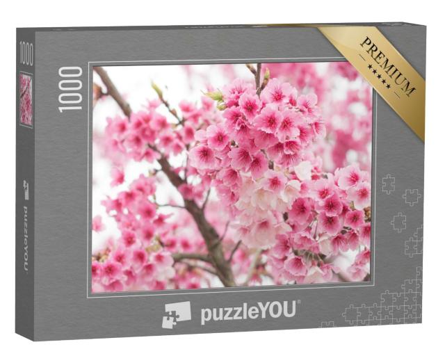 Puzzle de 1000 pièces « Magnifiques cerisiers en fleurs sur le mont Yangming, Taïwan »