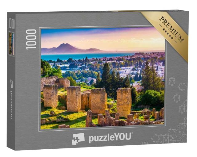 Puzzle de 1000 pièces « Vestiges de Carthage : vue depuis la colline de Byrsa, Tunisie »