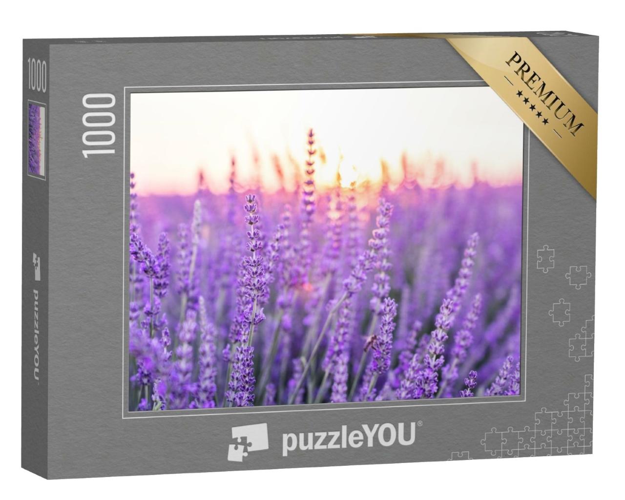 Puzzle de 1000 pièces « Coucher de soleil sur un champ de lavande, Provence, France »