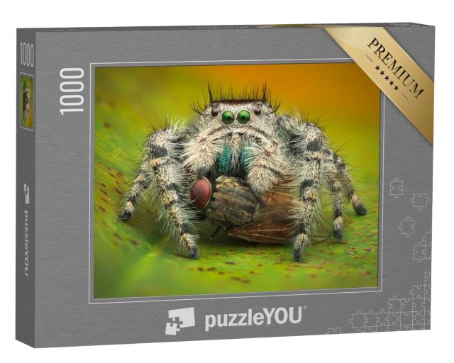 Puzzle de 1000 pièces « Macrophotographie : Une araignée sauteuse mange une mouche domestique »