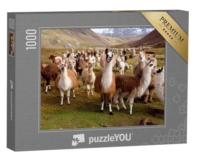 Puzzle de 1000 pièces « Llamas et alpagas du Pérou »