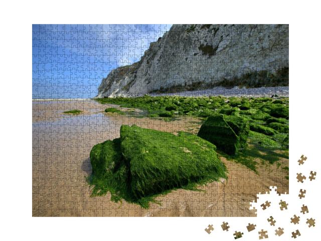Puzzle de 1000 pièces « Pierres envahies par les algues vertes en bord de mer dans la région Nord-Pas-de-Calais, France. »