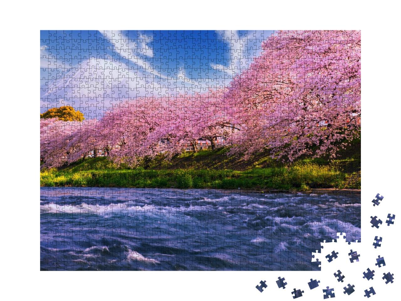 Puzzle de 1000 pièces « Sakura : cerisiers en fleurs au Japon, avec le volcan Fuji en arrière-plan »