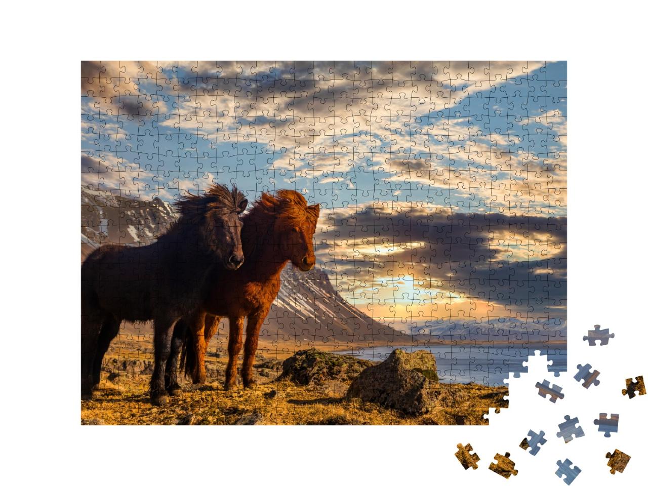 Puzzle de 500 pièces « Deux chevaux islandais sur la côte au coucher du soleil »