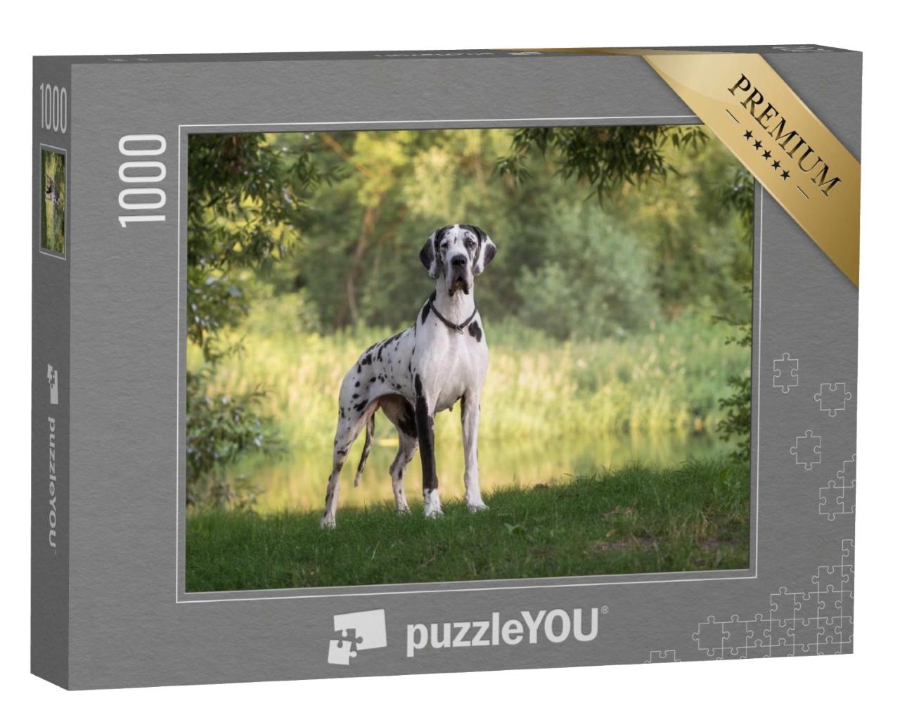 Puzzle de 1000 pièces « Beau paysage avec un dogue allemand »