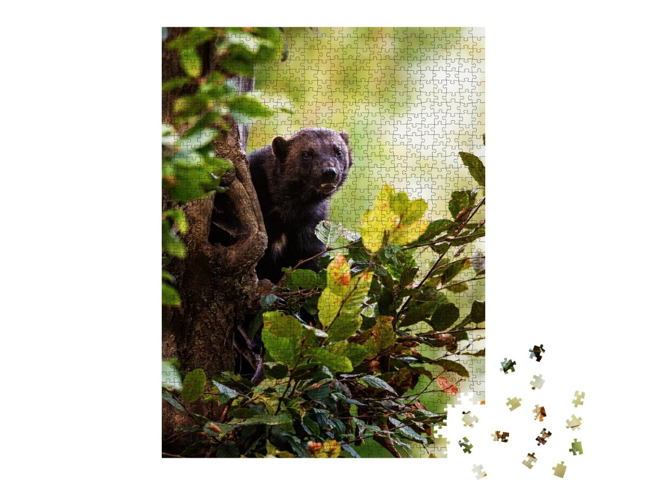 Puzzle de 1000 pièces « Un glouton grimpe à un arbre »