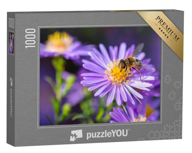 Puzzle de 1000 pièces « Abeille sur une fleur violette »