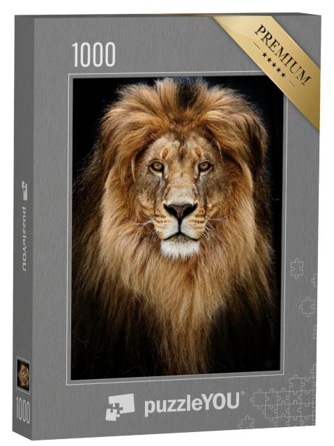 Puzzle de 1000 pièces « Portrait d'un lion impressionnant »