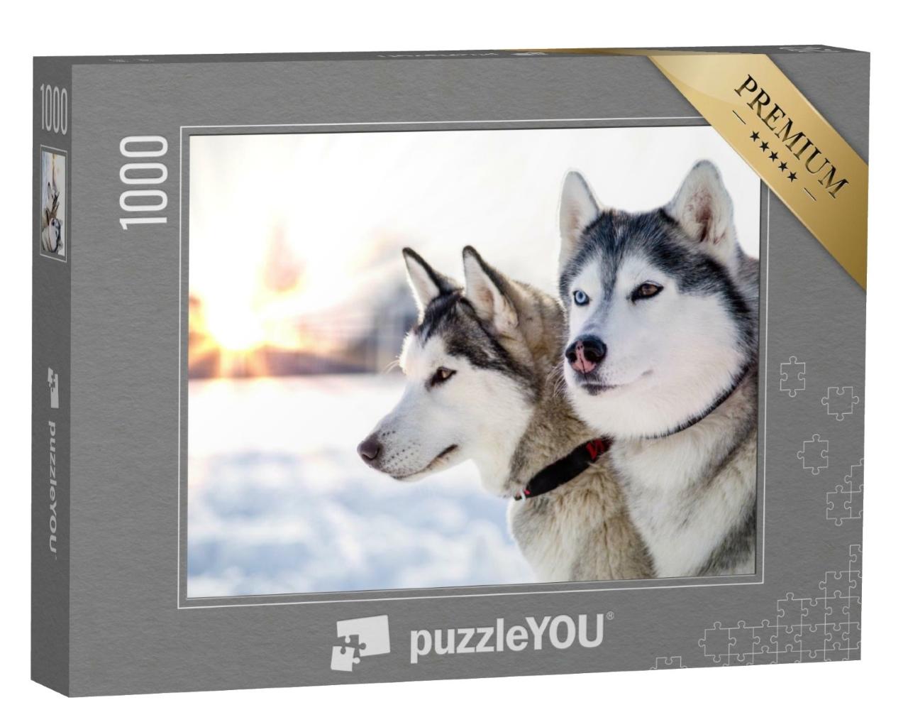 Puzzle de 1000 pièces « Deux huskies sibériens dans un coucher de soleil hivernal »