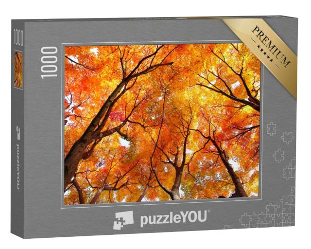 Puzzle de 1000 pièces « Les érables en automne »