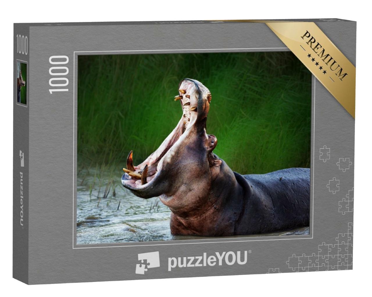 Puzzle de 1000 pièces « Hippopotame à gueule ouverte »