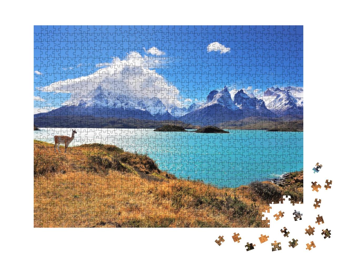 Puzzle de 1000 pièces « Magnifique parc national Torres del Paine dans le sud du Chili »