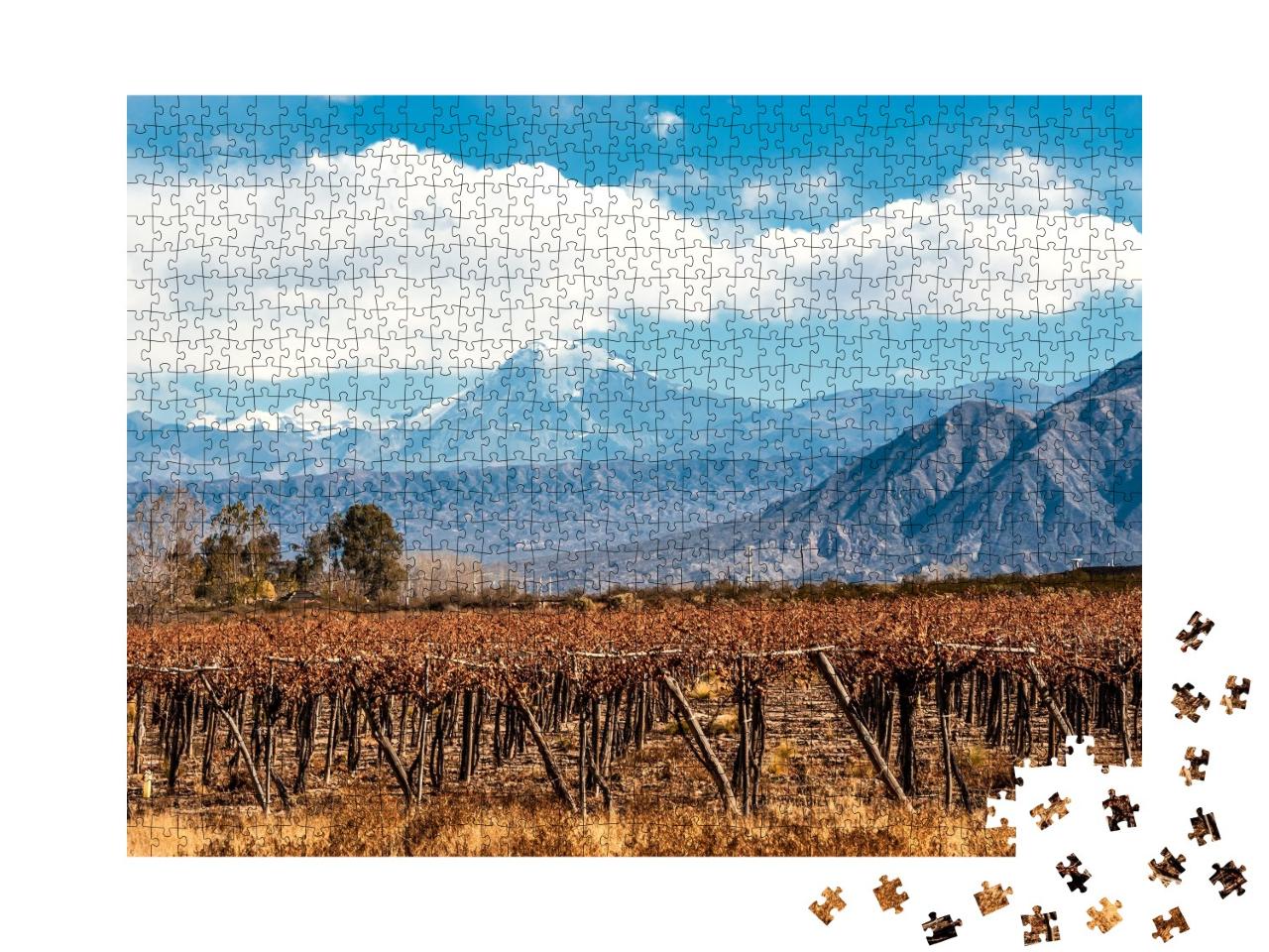 Puzzle de 1000 pièces « Volcan Aconcagua et vignoble, Andes, Argentine »