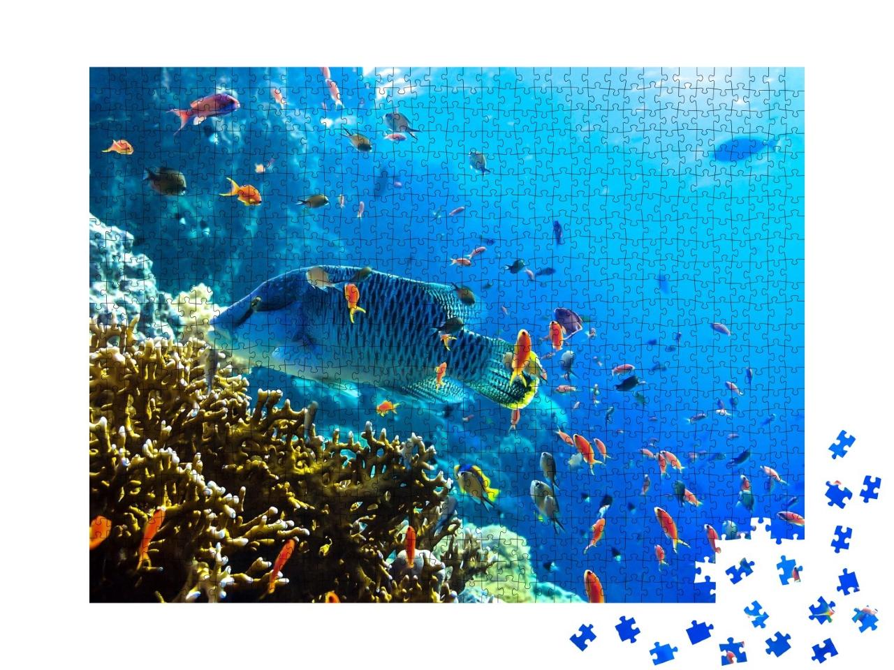 Puzzle de 1000 pièces « Divers poissons sous-marins multicolores »
