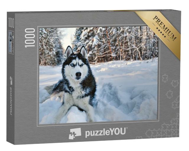 Puzzle de 1000 pièces « Husky dans la neige »