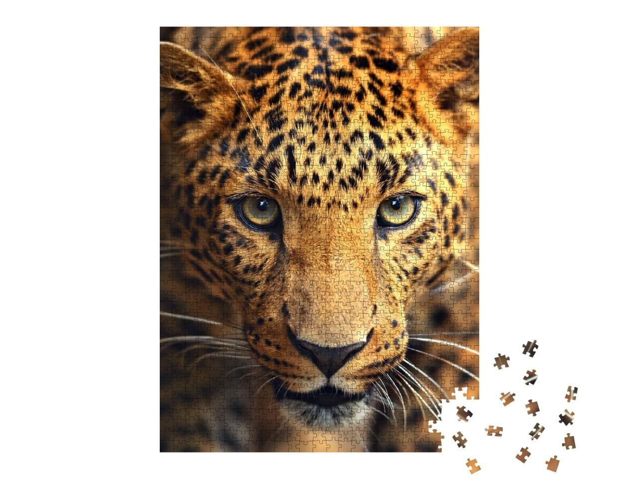 Puzzle de 1000 pièces « Face à face avec un léopard »