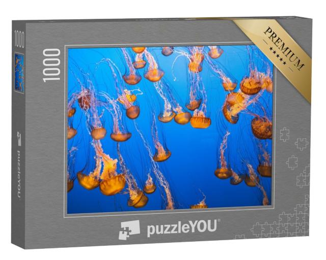 Puzzle de 1000 pièces « Un groupe de méduses dans une eau lumineuse »