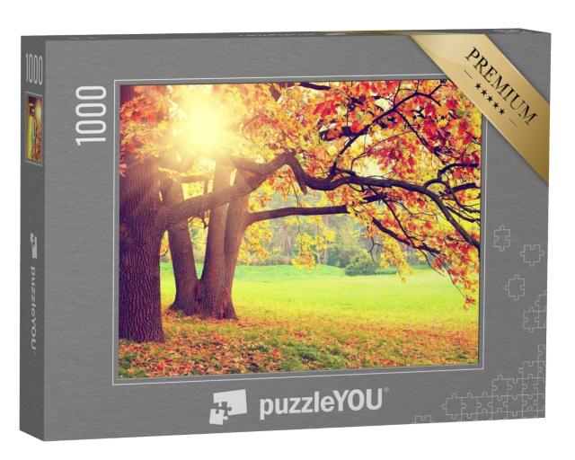 Puzzle de 1000 pièces « Paysage d'automne avec de vieux arbres »