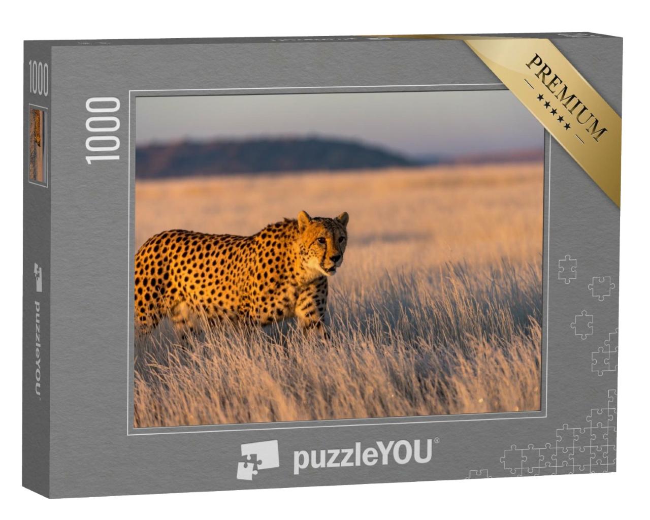 Puzzle de 1000 pièces « Un guépard parcourt son territoire »