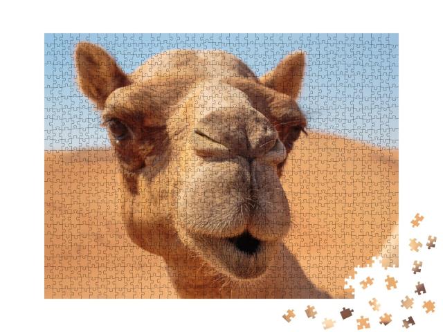 Puzzle de 1000 pièces « Un gentil chameau dans le désert »