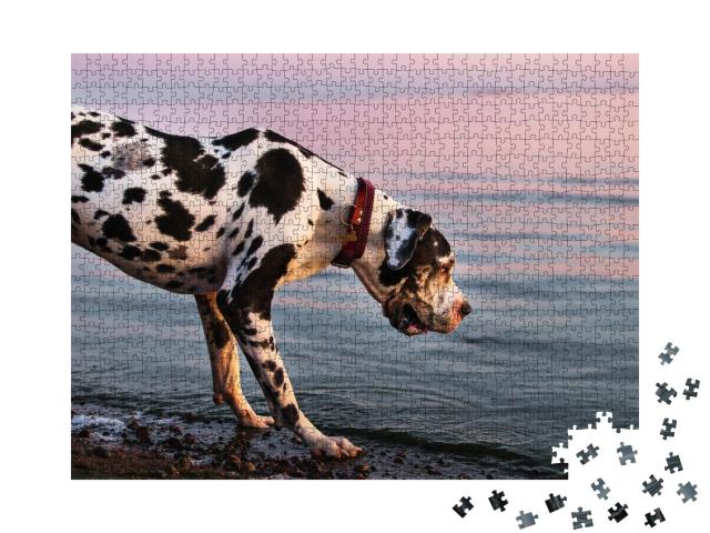 Puzzle de 1000 pièces « Dogue allemand en promenade le soir »