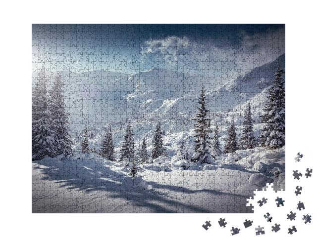 Puzzle de 1000 pièces « Paysage hivernal »