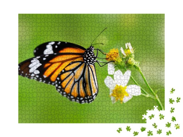 Puzzle de 1000 pièces « Papillon du genre tigre commun sur une fleur »