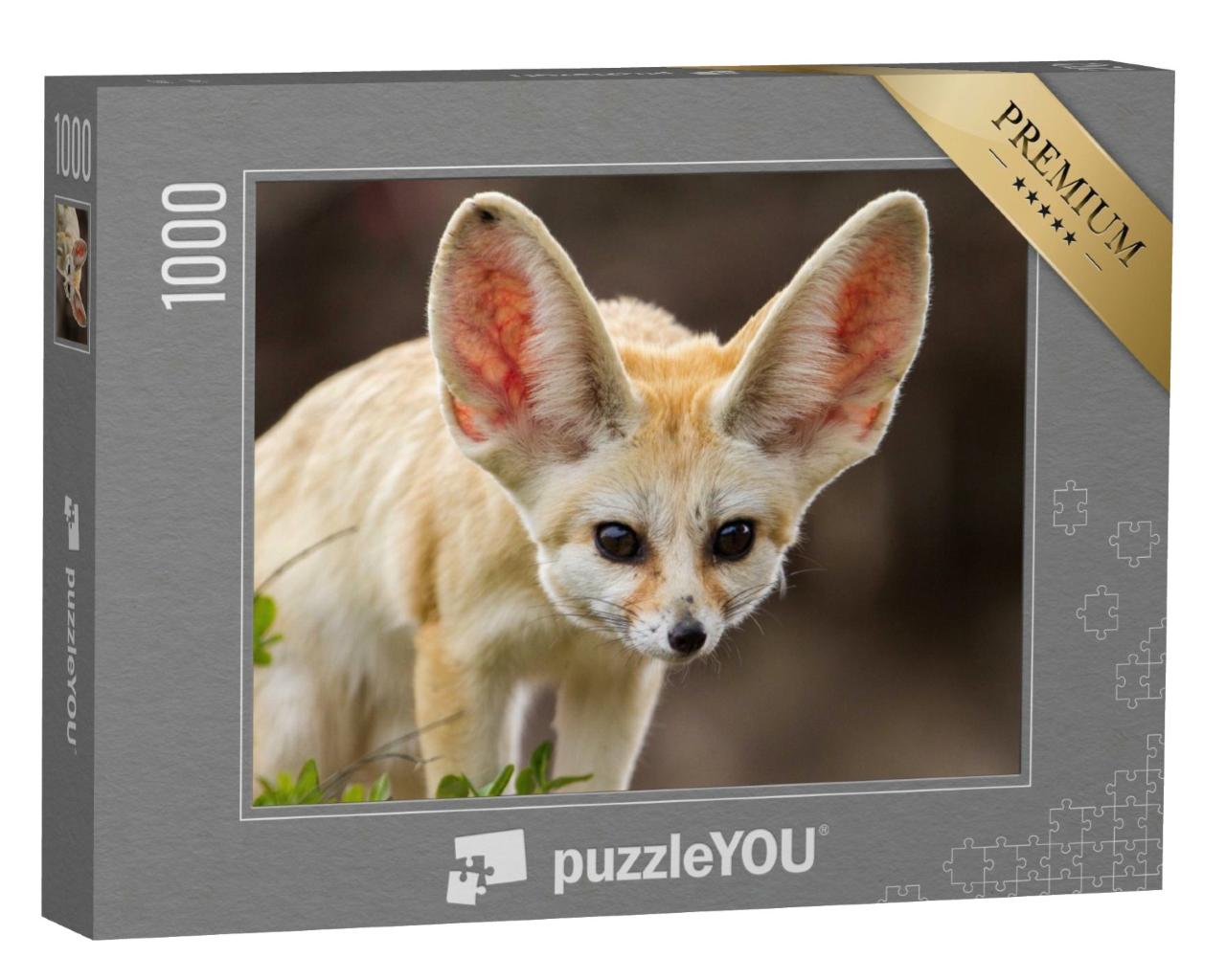 Puzzle de 1000 pièces « Adorable renard fennec aux grandes oreilles »