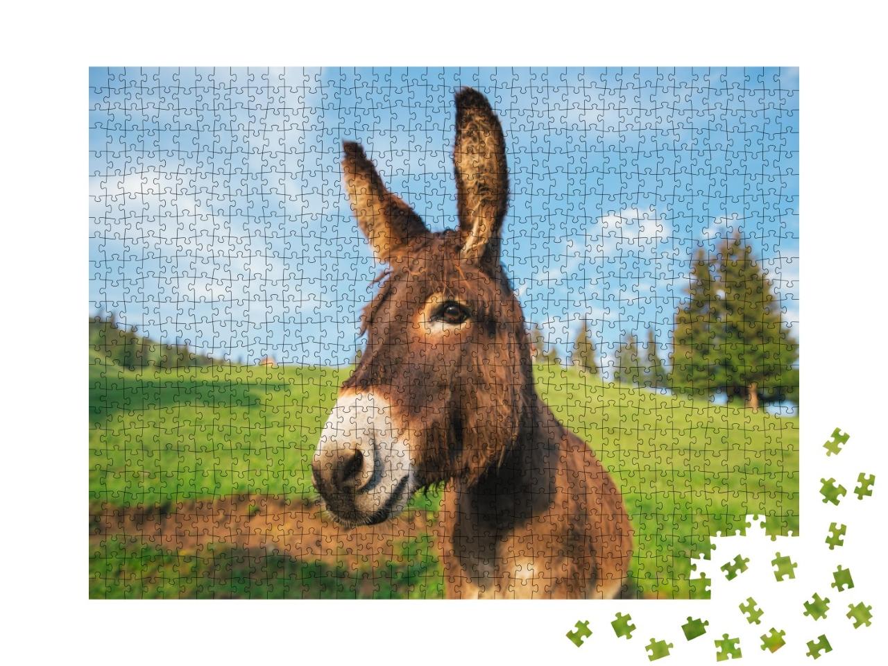 Puzzle de 1000 pièces « Image d'un âne au coucher du soleil en Transylvanie »