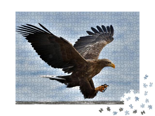 Puzzle de 1000 pièces « Un aigle de mer s'envole dans un ciel bleu »