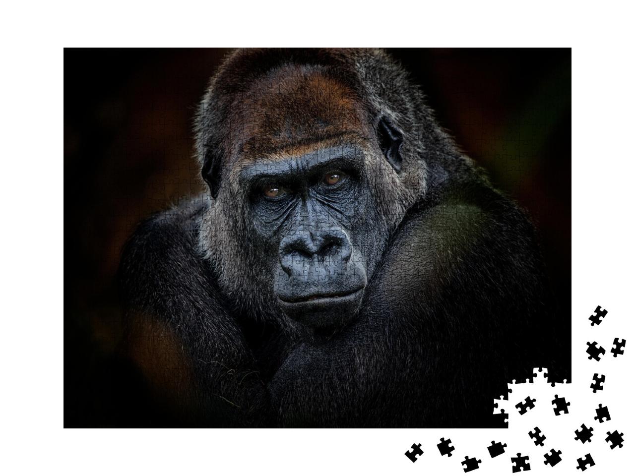 Puzzle de 1000 pièces « Portrait d'un gorille »