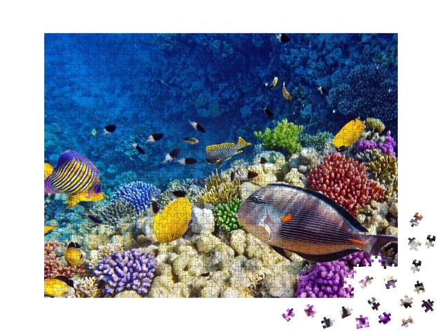 Puzzle de 1000 pièces « Coraux et poissons multicolores en mer Rouge, près de l'Égypte »