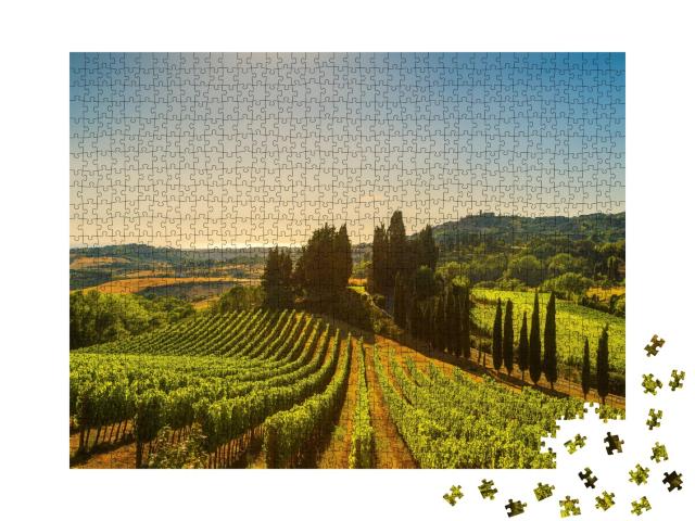 Puzzle de 1000 pièces « Vignobles et paysage dans la Maremme, Toscane, Italie »
