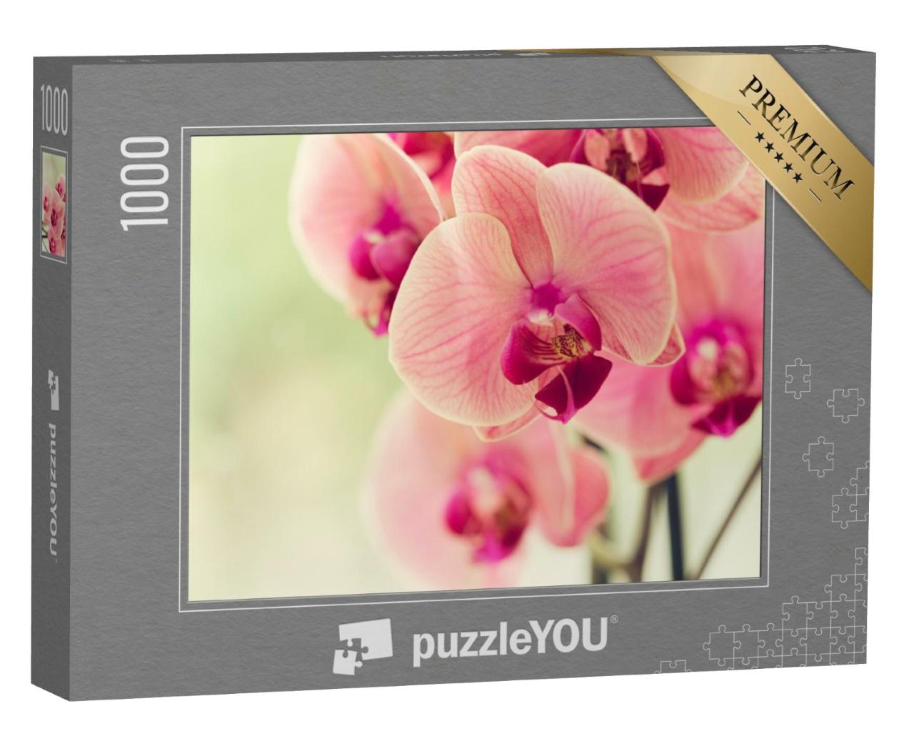 Puzzle de 1000 pièces « Branche d'orchidée rose pâle en fleurs »