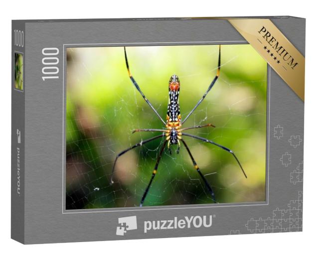 Puzzle de 1000 pièces « Gros plan sur une araignée veuve noire »