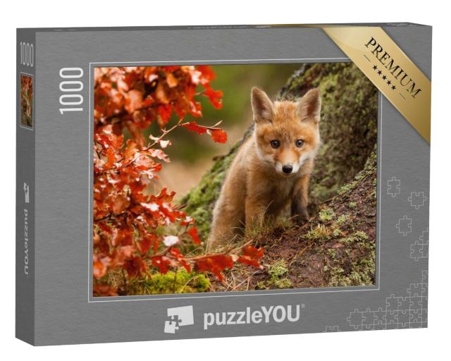 Puzzle de 1000 pièces « Jeune renard curieux »