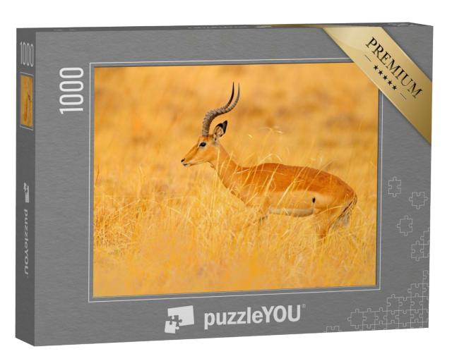 Puzzle de 1000 pièces « Antilope au milieu de la savane herbeuse, Afrique du Sud »