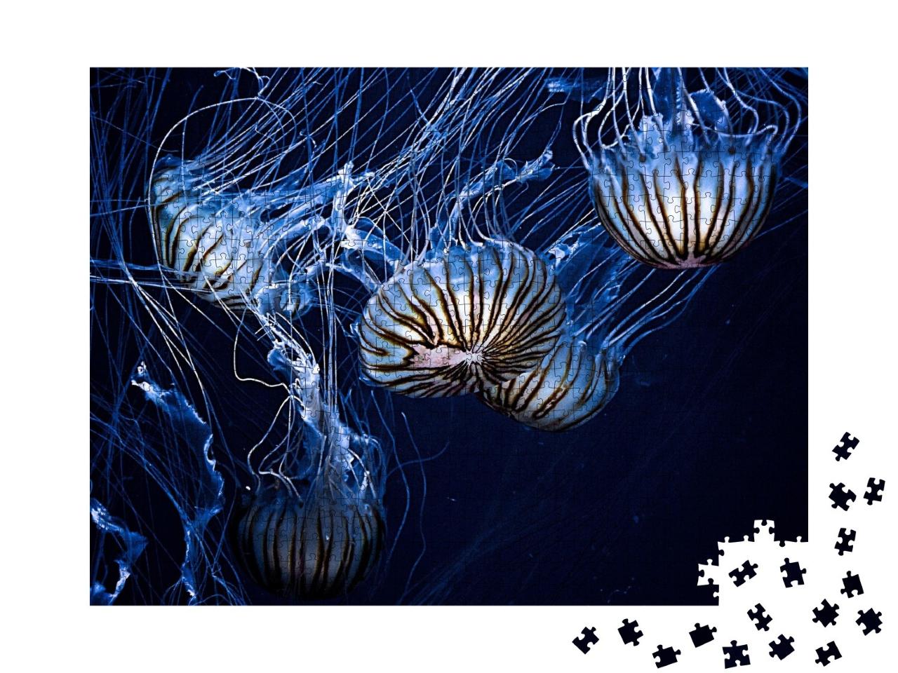 Puzzle de 1000 pièces « Des méduses qui brillent comme par magie dans l'obscurité sous-marine »