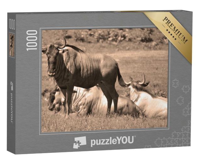 Puzzle de 1000 pièces « Gnous au repos dans la savane »