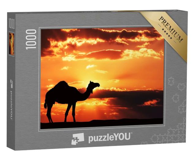 Puzzle de 1000 pièces « Silhouette d'un chameau en Afrique »
