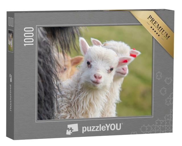 Puzzle de 1000 pièces « Un agneau regarde la caméra avec curiosité »